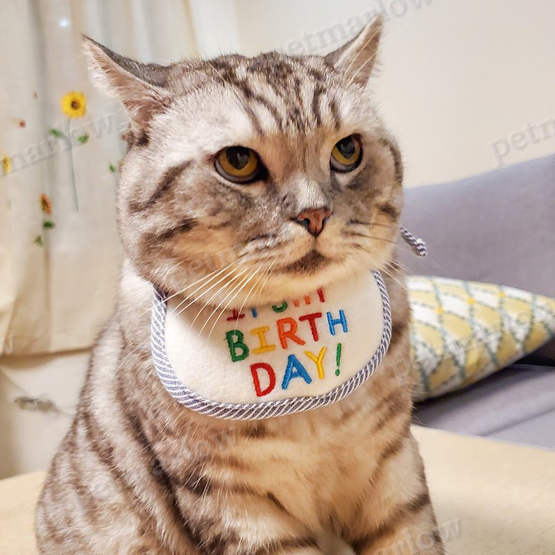 Cat Holiday Birthday Triangle Bib Scarf – view 4