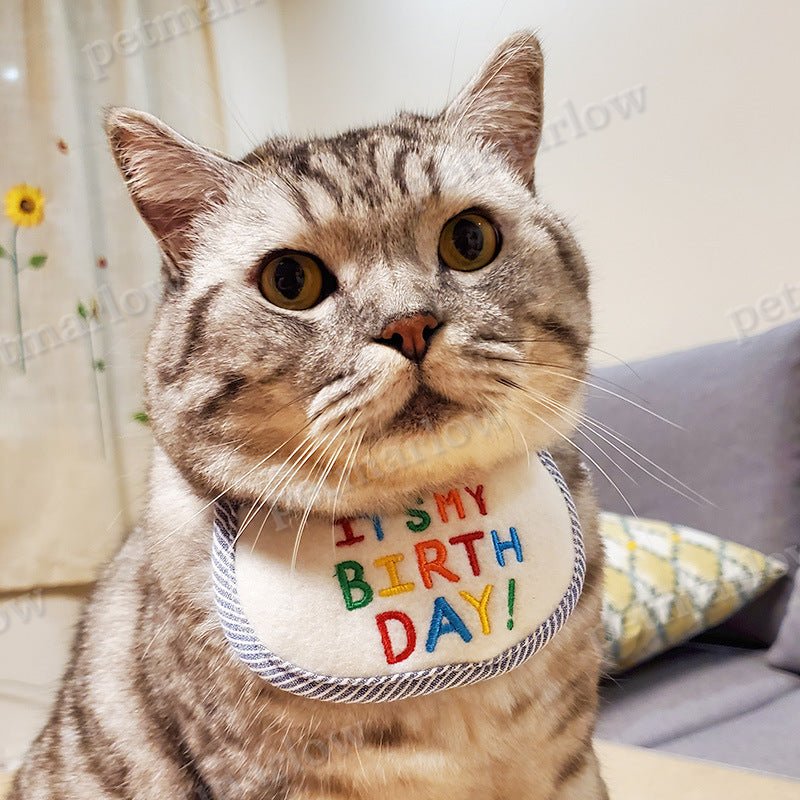 Cat Holiday Birthday Triangle Bib Scarf – view 5