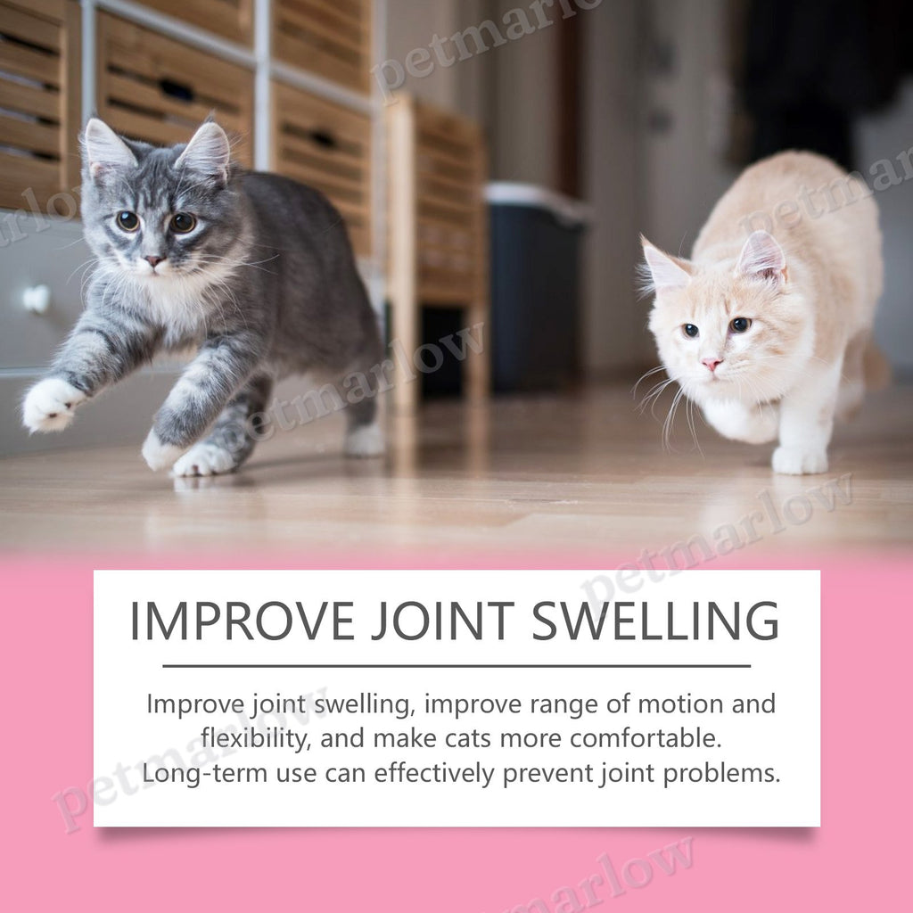 Cat Joint Health Support Tablets for All Breeds – view 2