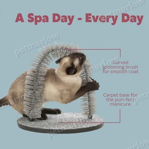 Cat Massager and Self Grooming Arch, Bristle Ring Brush – view 3