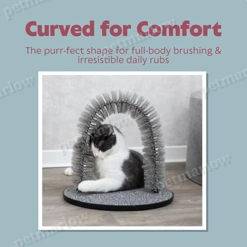 Cat Massager and Self Grooming Arch, Bristle Ring Brush – view 4