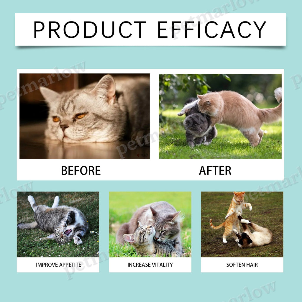 Cat Probiotic Supplement Tablets for Gut and Digestive Health – view 6