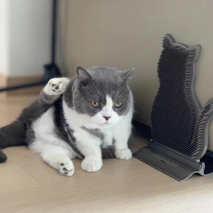 Cat-Shaped Silicone Towel Holder with Non-Slip Function