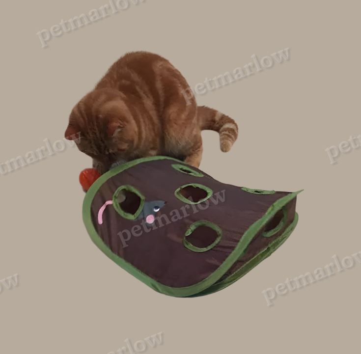 Cat Tent with Toys - Interactive Cave with Mice and Balls for Cats – view 4