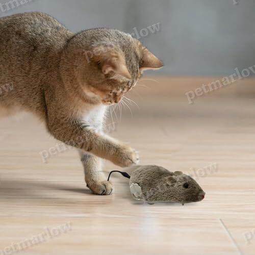 Cat Toy Realistic Mouse Shape Entertaining Toy – view 3