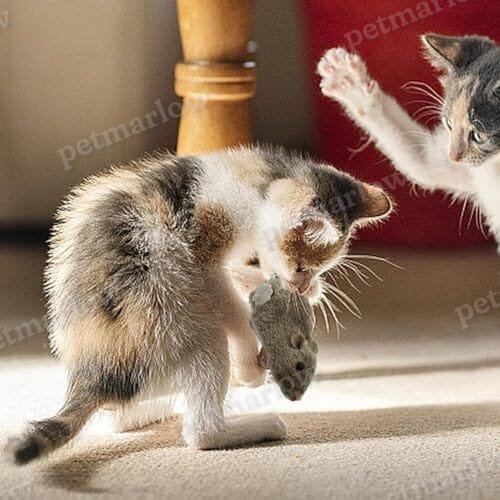 Cat Toy Realistic Mouse Shape Entertaining Toy – view 4