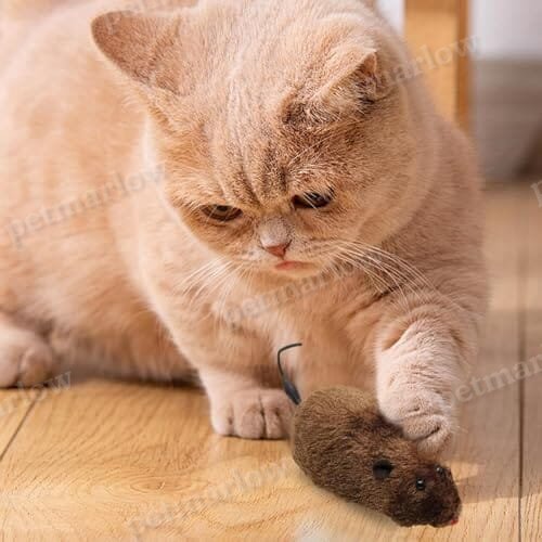 Cat Toy Realistic Mouse Shape Entertaining Toy – view 5