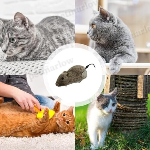 Cat Toy Realistic Mouse Shape Entertaining Toy – view 6
