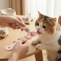 Cat Treat Spoon Feeder – Lickable Wet Food Dispenser with Long Handle – Pink