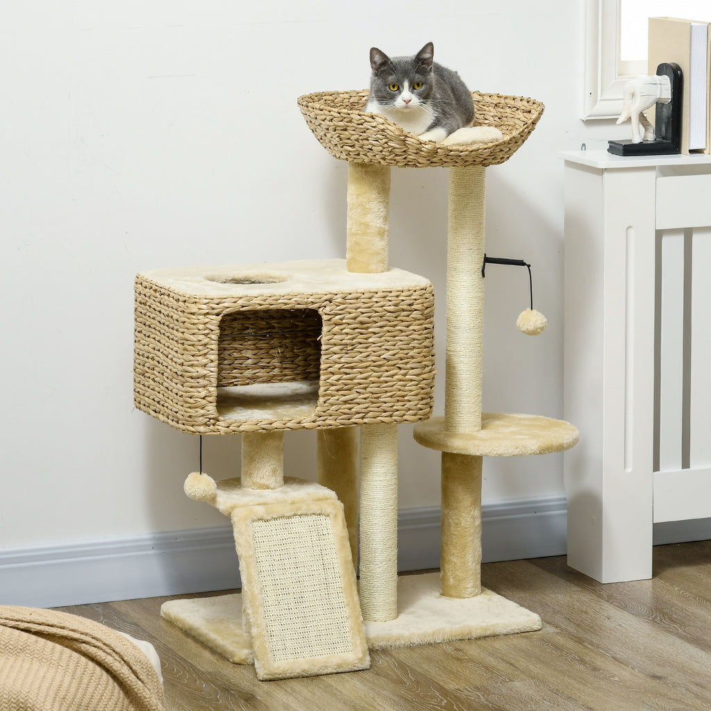 Indoor Cat Tree with Scratching Posts