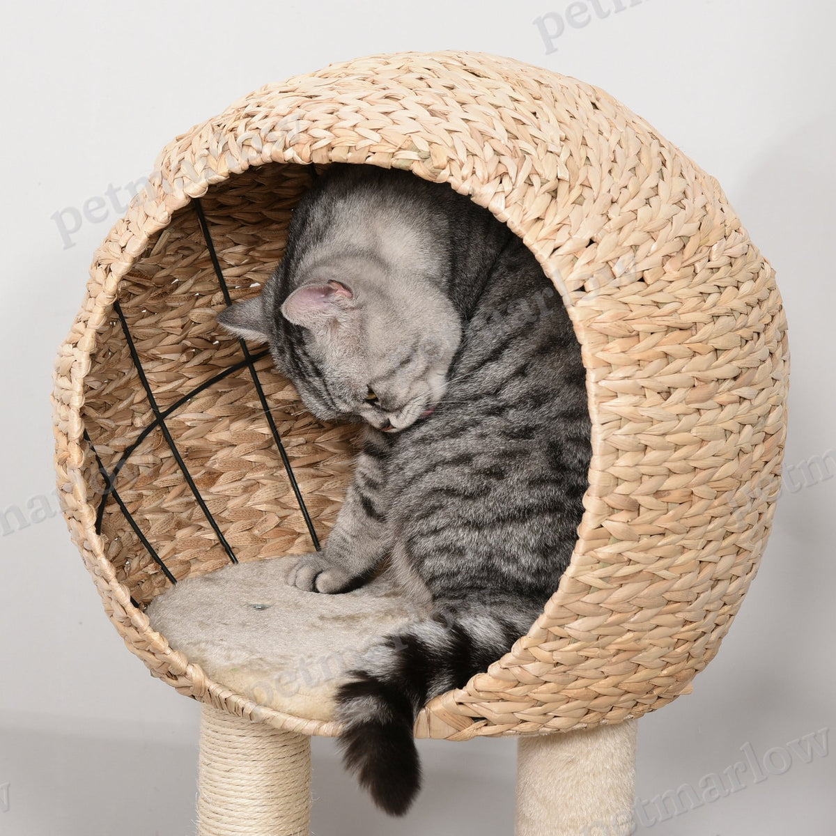 Cat Tree with Scratching Post and Condo – view 5