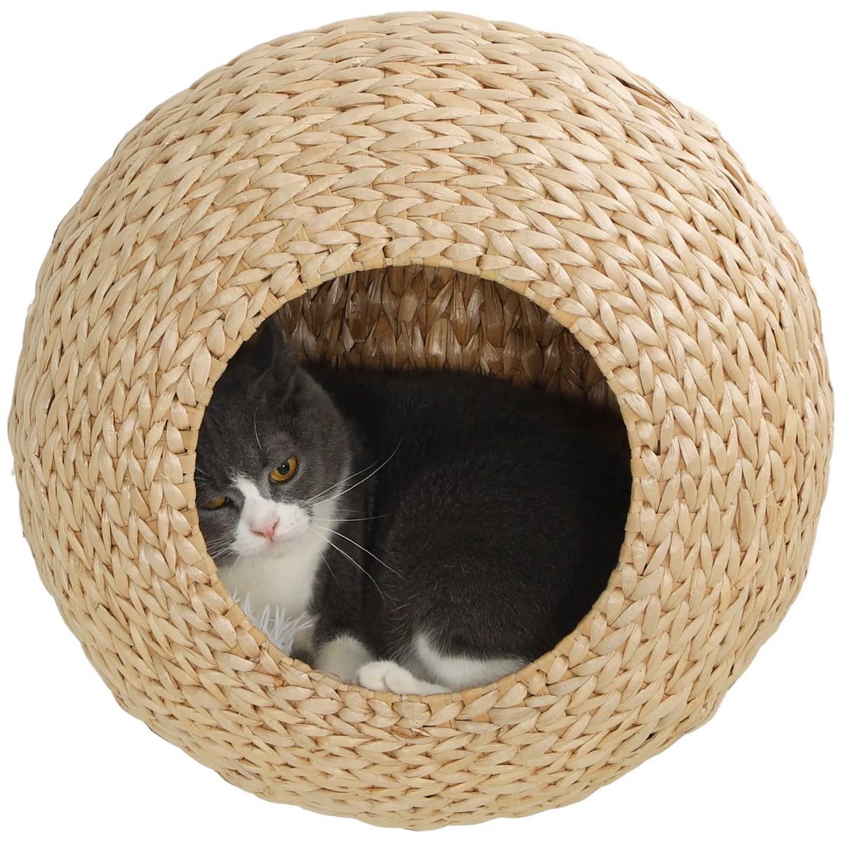 Wall Mounted Cat Shelf with Washable Cushion
