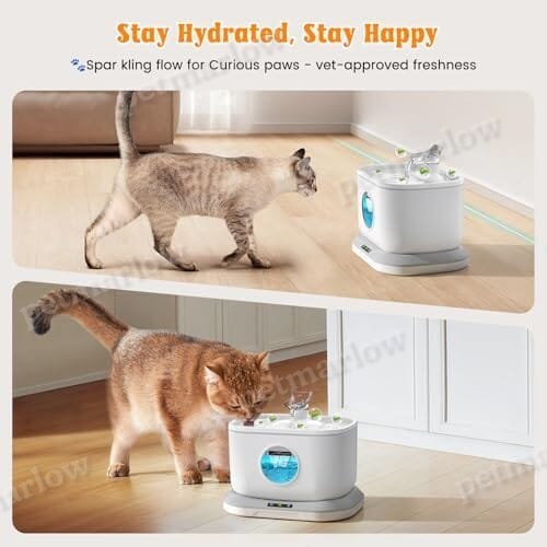 Cat Water Fountain & 4 Packs Replacement Filters – view 4