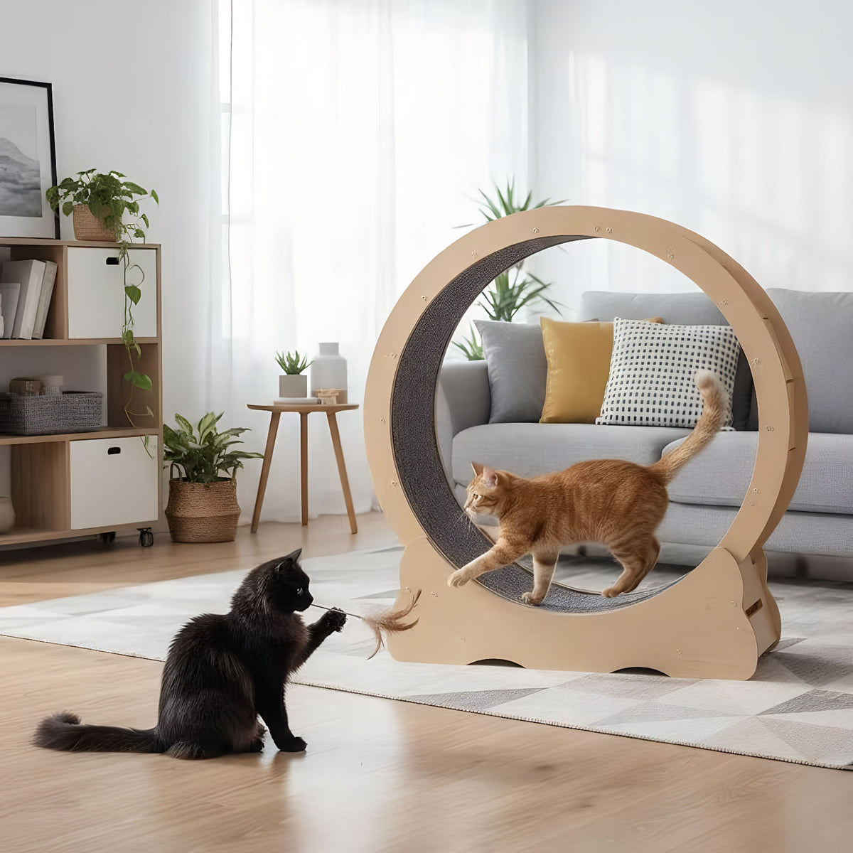 Large Cat Treadmill with Detachable Carpet