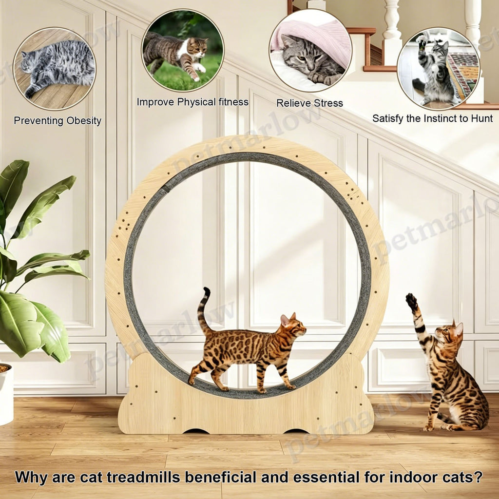 Large Cat Treadmill with Detachable Carpet – view 4
