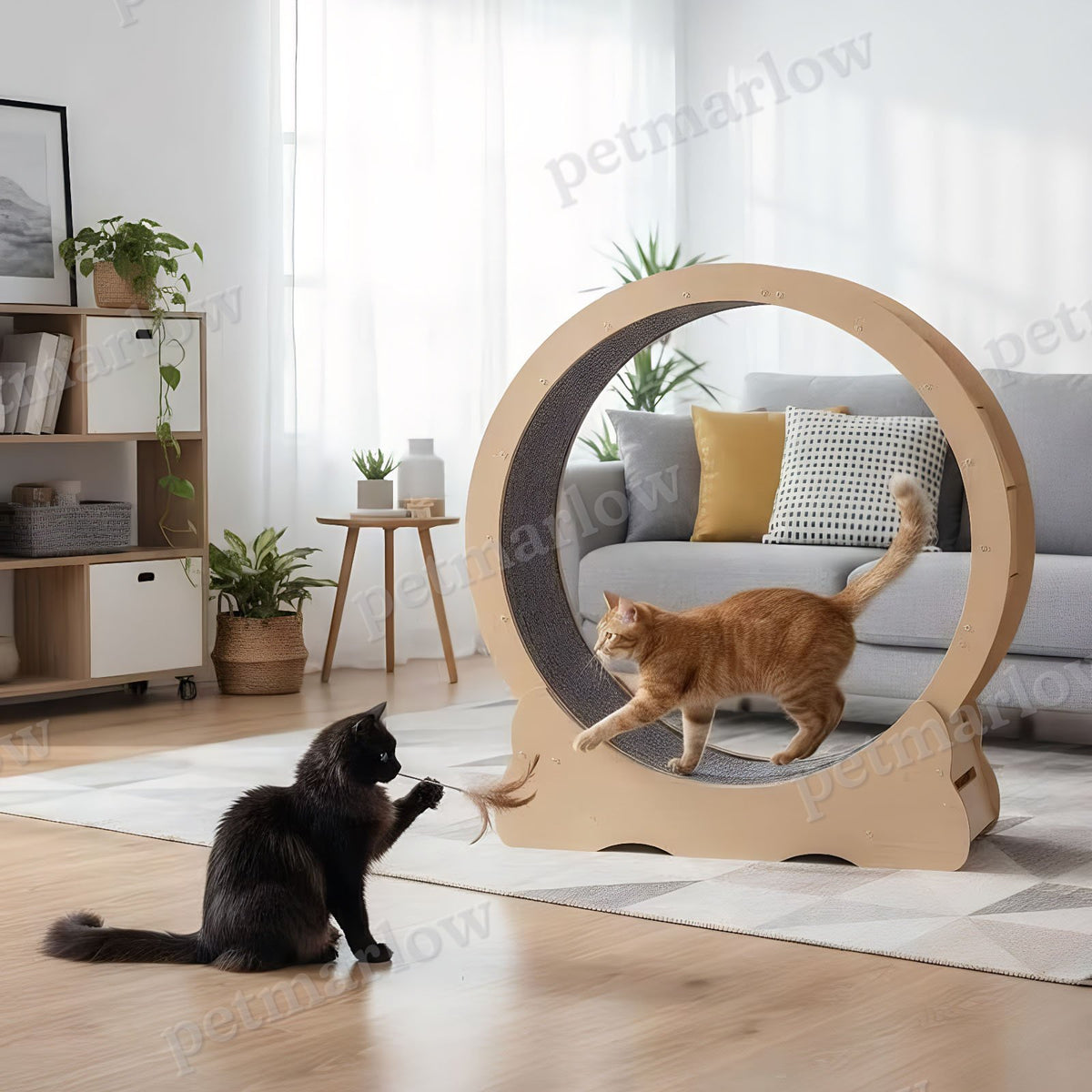 Large Cat Treadmill with Detachable Carpet – view 6