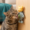 Catnip Ball Chew Toy