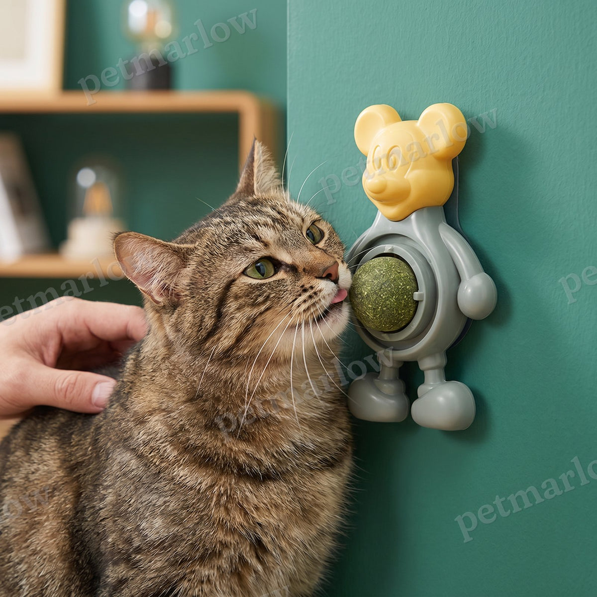 Catnip Ball Chew Toy – view 2
