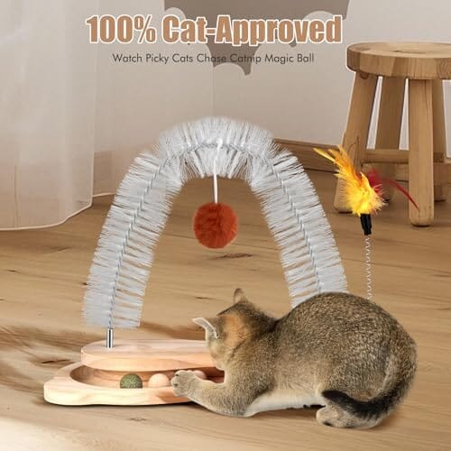 Cats Self Grooming Face Back Scratcher Rubbing Arch Post Corner Massager w/ Kitten Interactive Catnip Ball – view 7