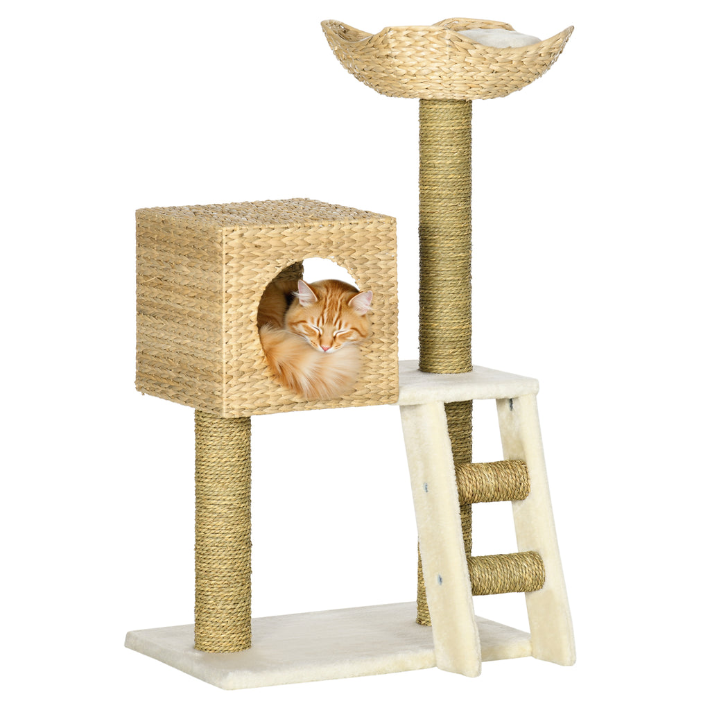 Cattail Weave Cat Tree for Indoor Cats – Natural Wood / 580x385x325 mm