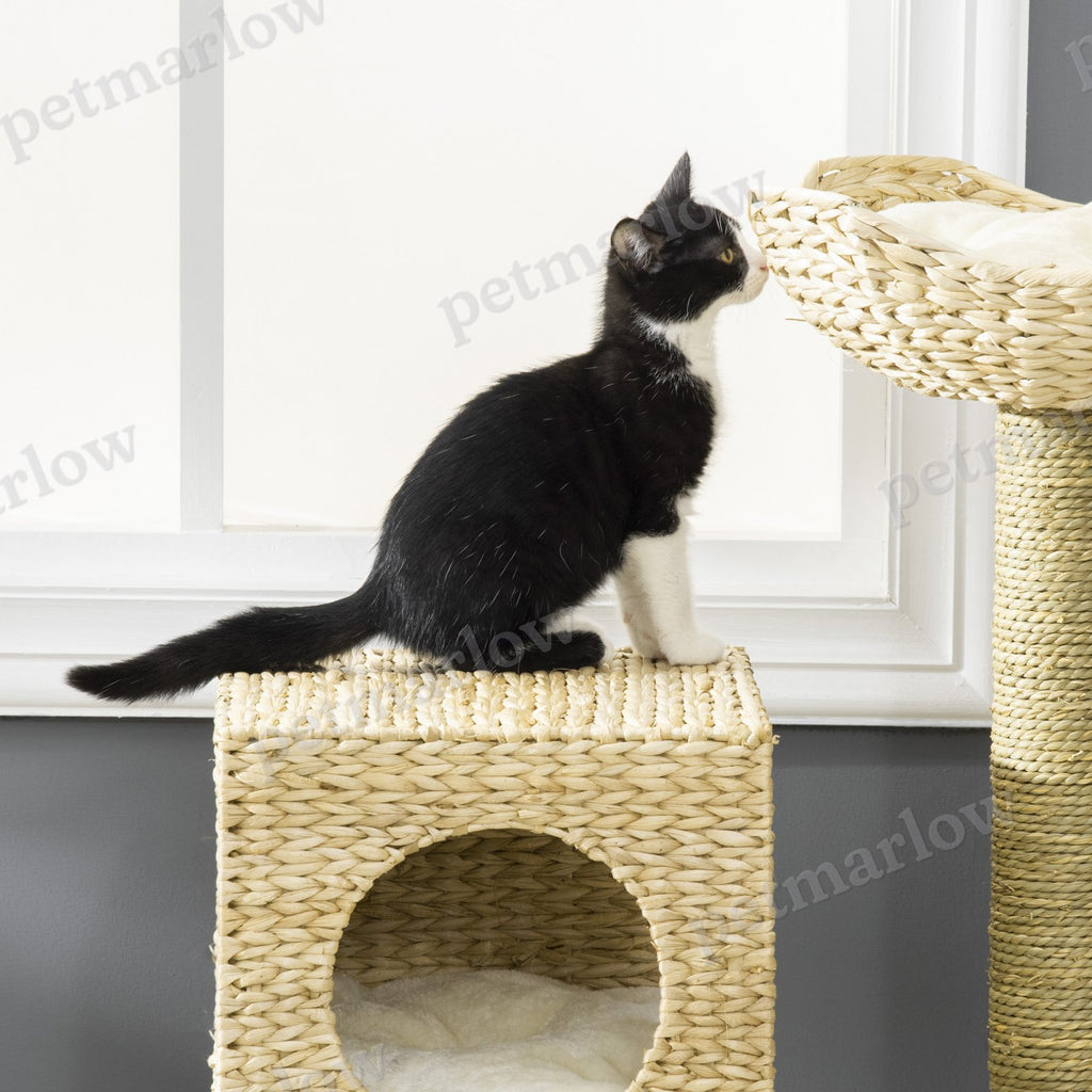 Cattail Weave Cat Tree for Indoor Cats – view 4