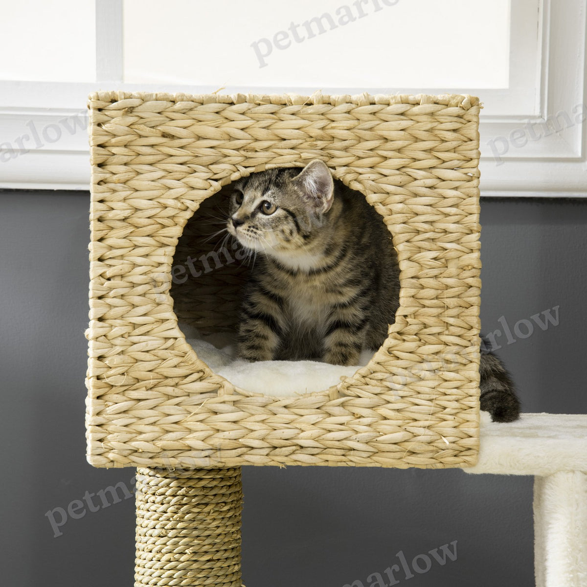 Cattail Weave Cat Tree for Indoor Cats – view 6