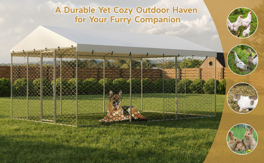 Large Outdoor Dog Kennel with Canopy for All-Weather Use – view 11