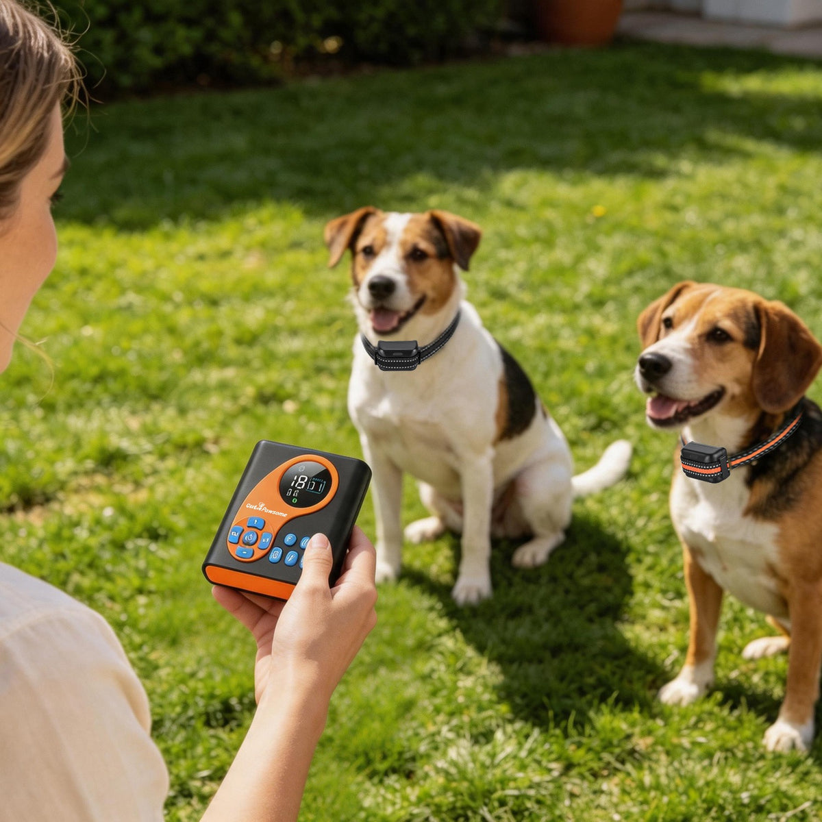 2 In 1 Wireless Dog Fence System with Training Collar – view 11