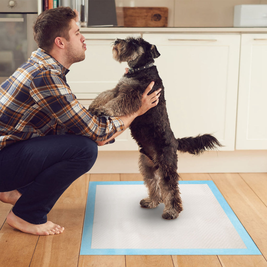 50 Pack Dog Training Pads for Potty Training – view 8