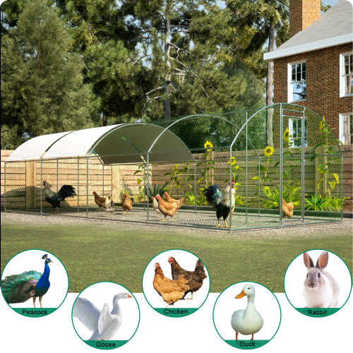Large Metal Chicken Coop for Poultry Safety and Comfort – view 7