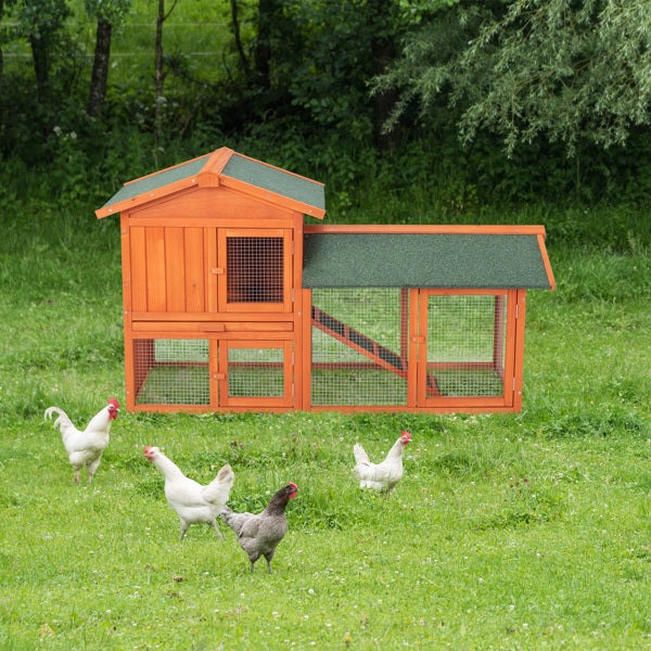 Wooden Chicken Coop and Rabbit Hutch for Small Animals – view 7