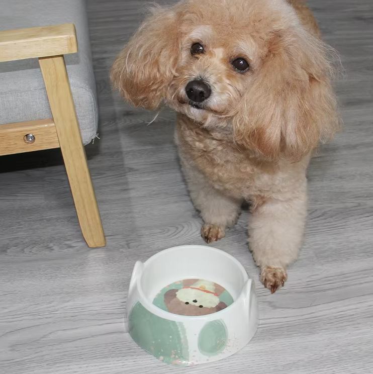 Ceramic Dog Bowl - Food and Water Bowl for Dogs