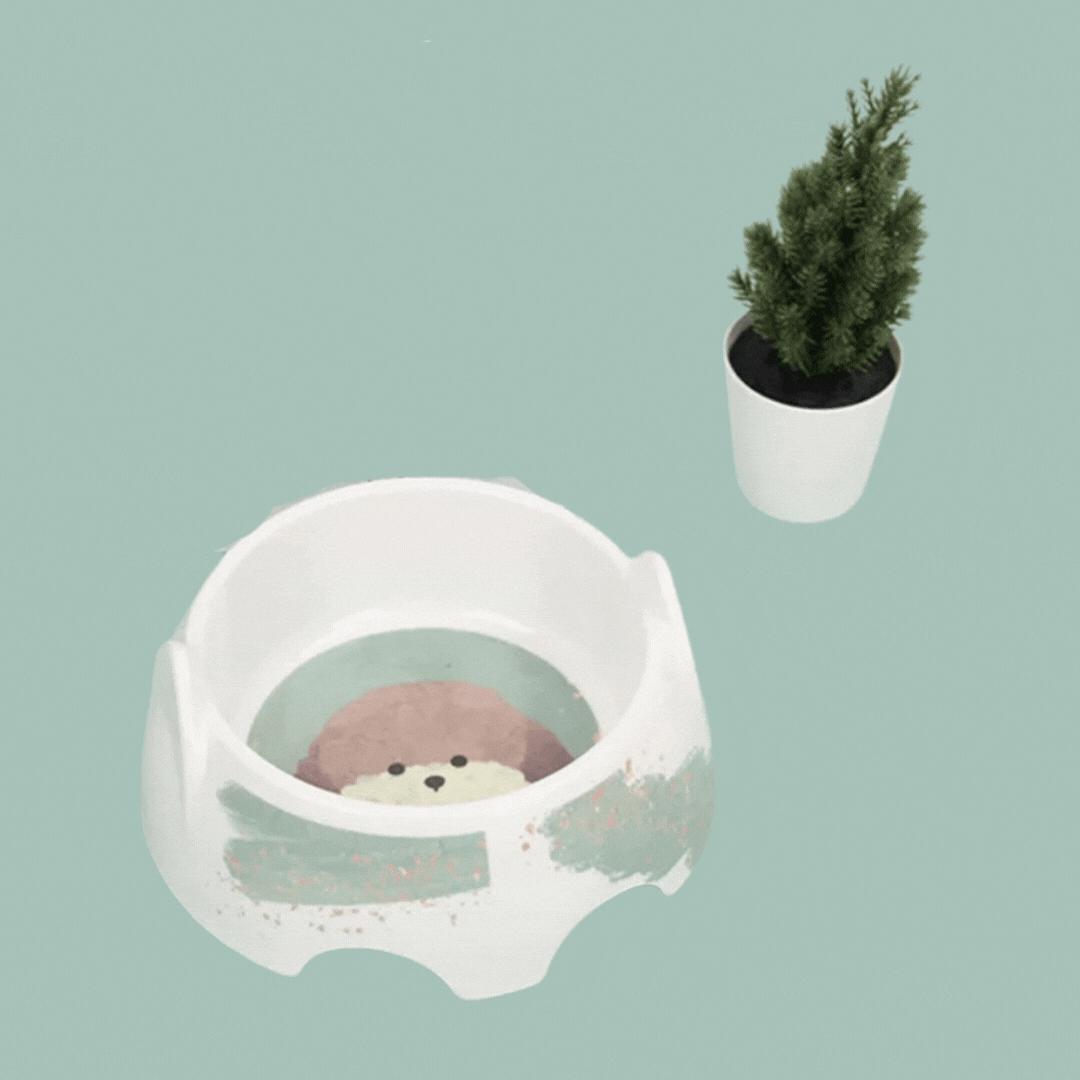 Ceramic Dog Bowl - Food and Water Bowl for Dogs – Green