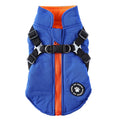 Chest Strap Jacket Cotton-Padded Coat for Pets – DZ227 Blue / XS