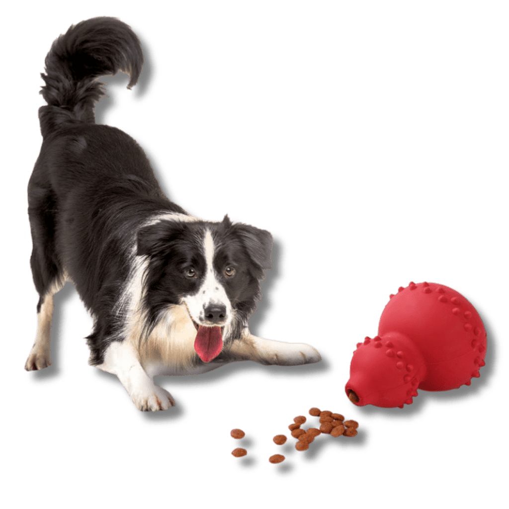 Chew Resistant Dog Toy for Teeth Cleaning and Treats