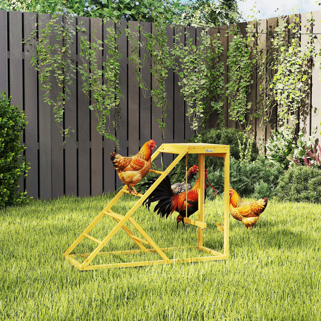 Chicken Activity Play for Healthy, Happy Poultry