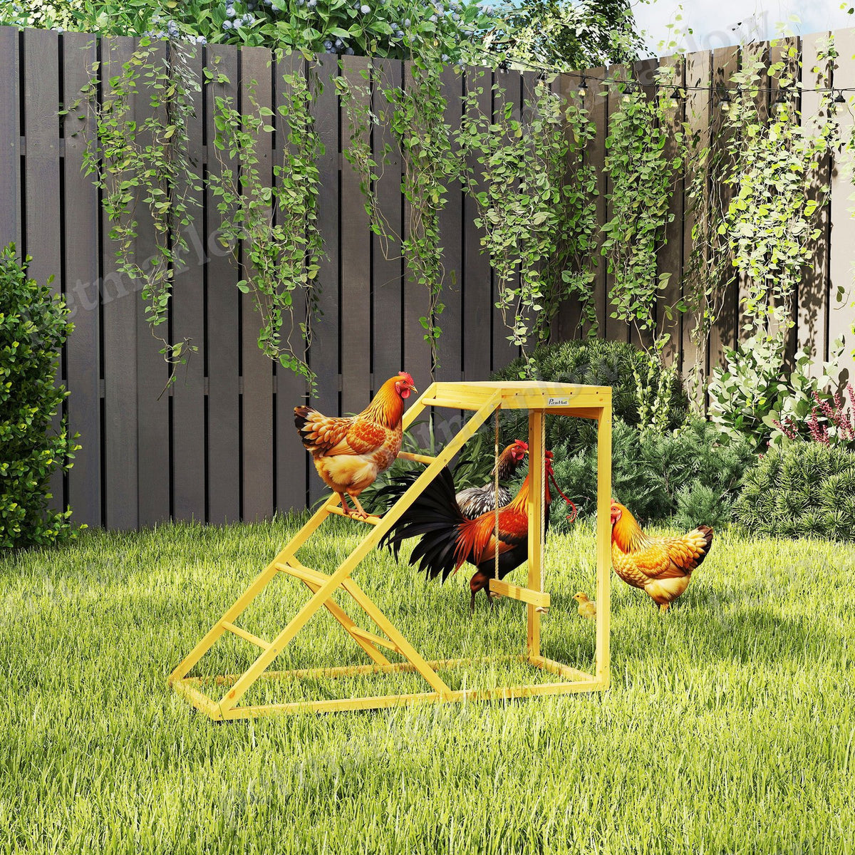 Chicken Activity Play for Healthy, Happy Poultry – view 6