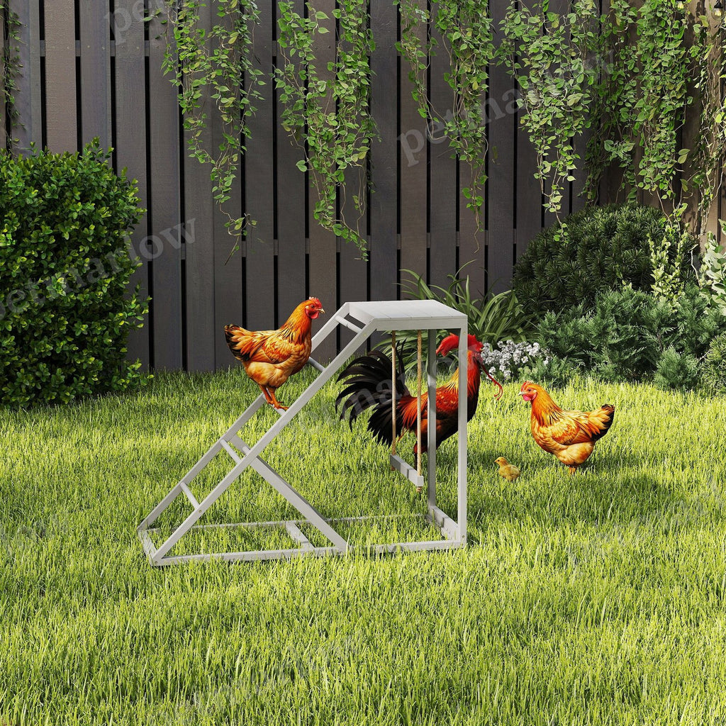 Chicken Activity Play Set for Healthy and Happy Chickens – view 5