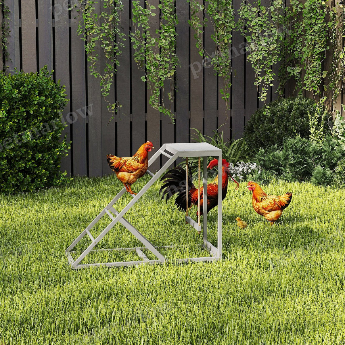 Chicken Activity Play Set for Healthy and Happy Chickens – view 5