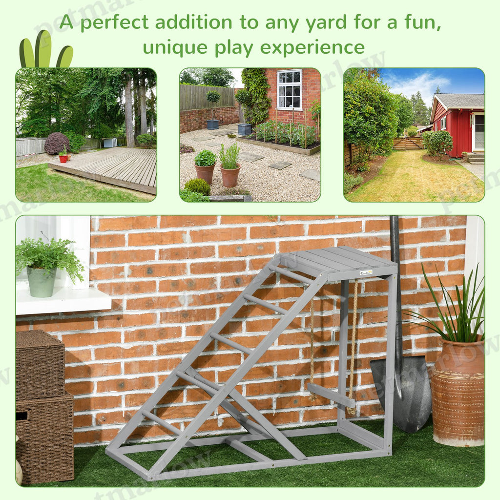 Chicken Activity Play Set for Healthy and Happy Chickens – view 6