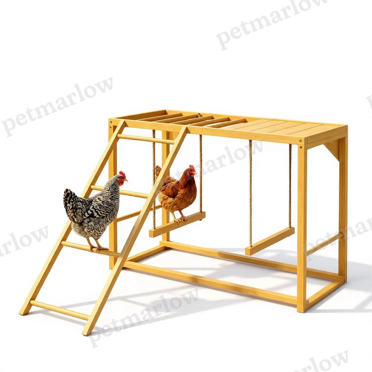 Chicken Activity Play Structure for Coop Fun – view 3