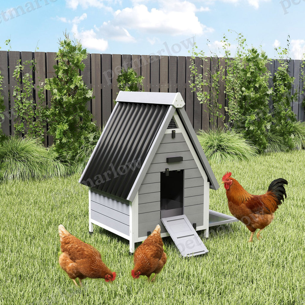 Chicken Coop for 2 Chickens with Nesting Box – view 4