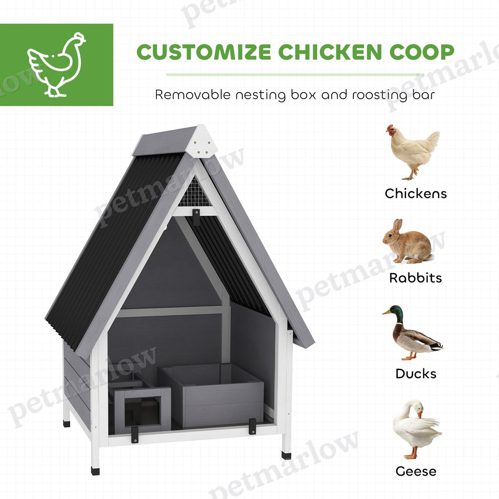 Chicken Coop for 2 Chickens with Nesting Box – view 6