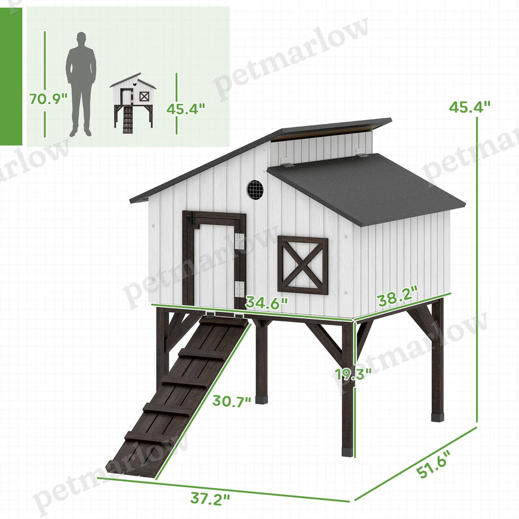 Chicken Coop with Nesting Box and Ramp for Small Animals – view 4