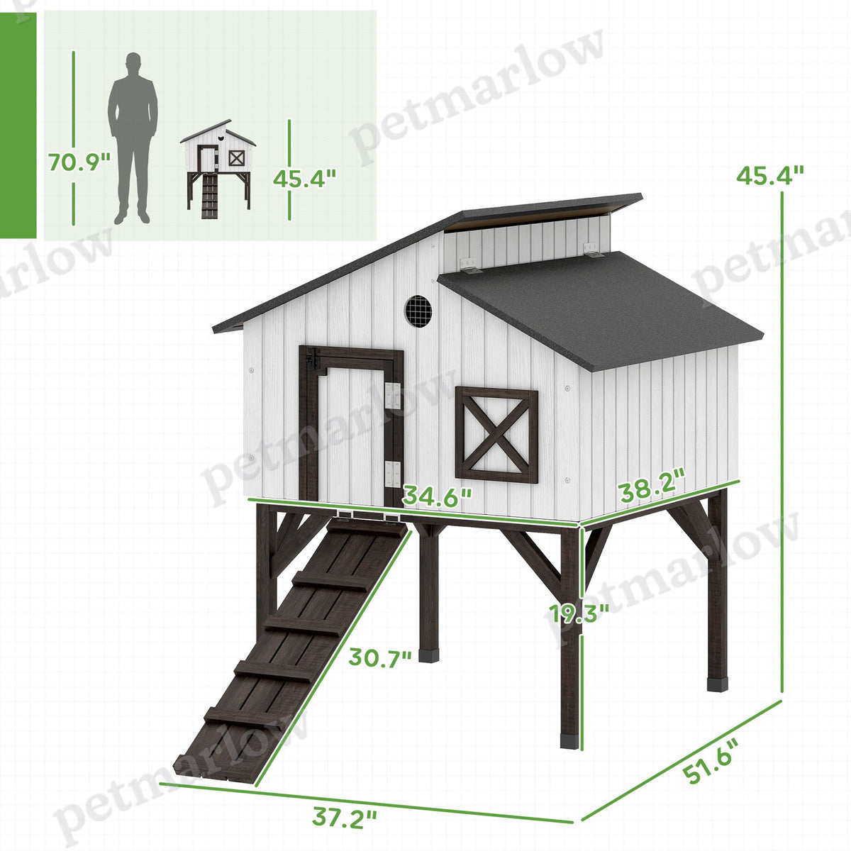 Chicken Coop with Nesting Box and Ramp for Small Animals – view 4