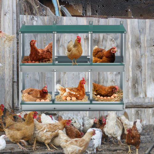 Chicken Nesting Box with 6 Rooms for Comfortable Egg Laying