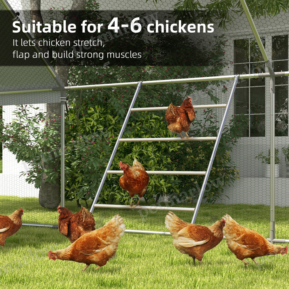 Chicken Roosting Ladder for Coop with Four Levels – view 4