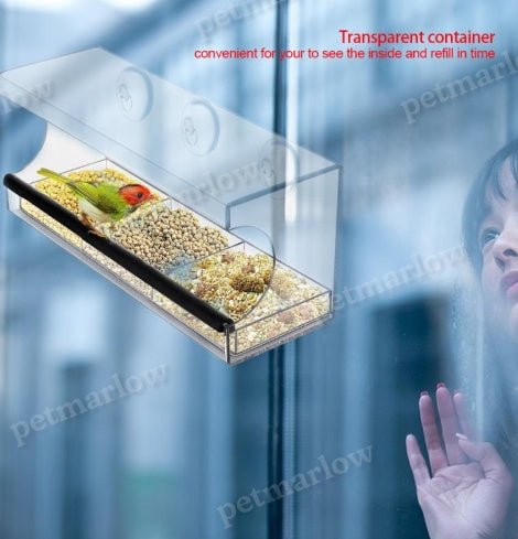 Clear Acrylic Pet Feeder Bowl Dispenser For Cats And Dogs – view 4