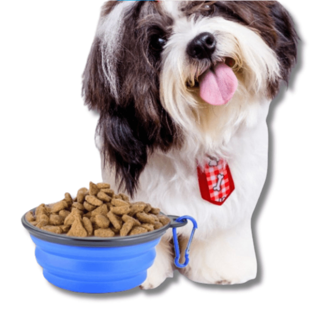 Collapsible Travel Pet Bowl For Dogs And Cats