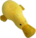 Colossals Durable Squeaker Dog Toys
